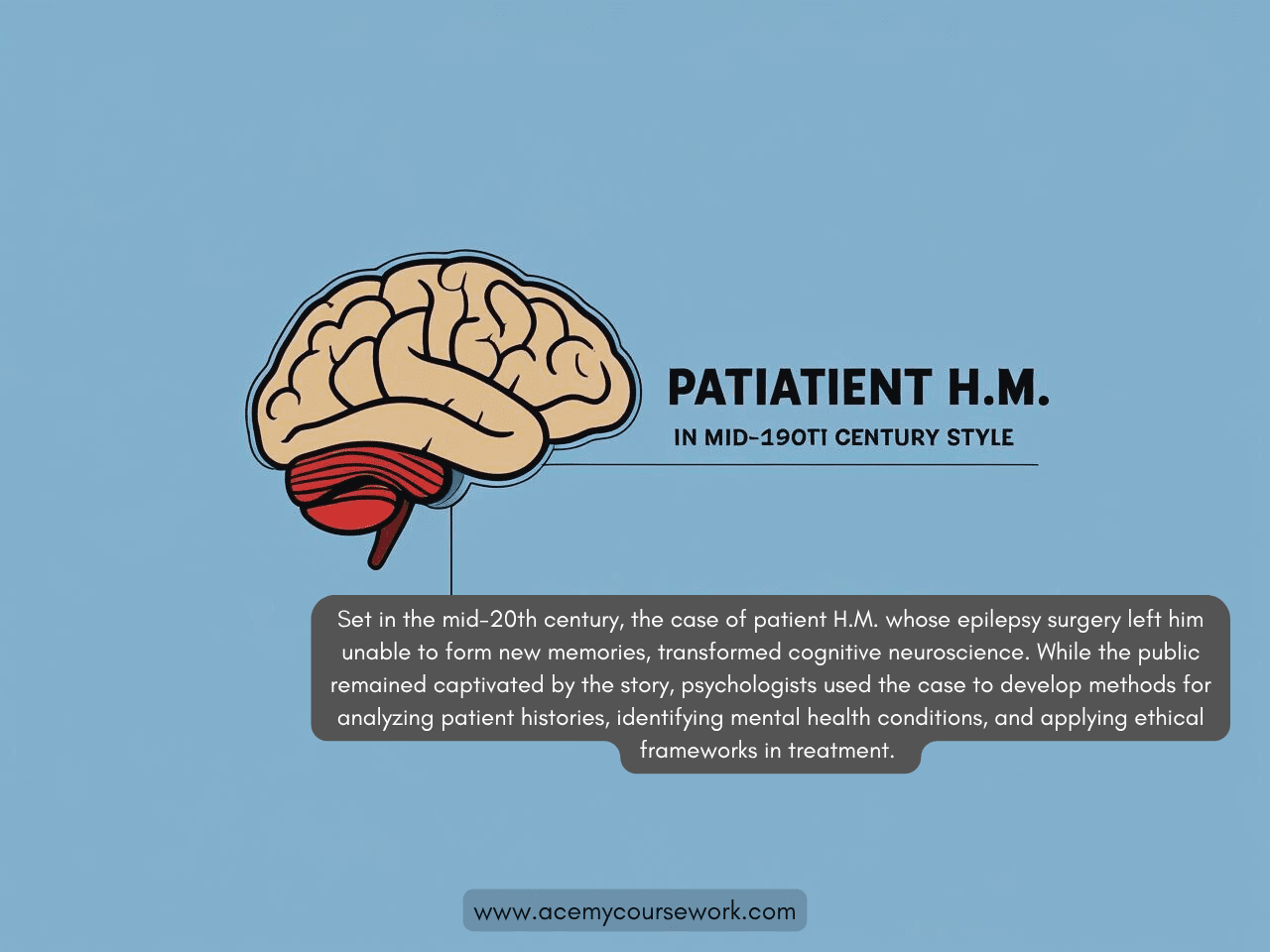 Illustration of a human brain representing cognitive neuroscience and psychological case study analysis.